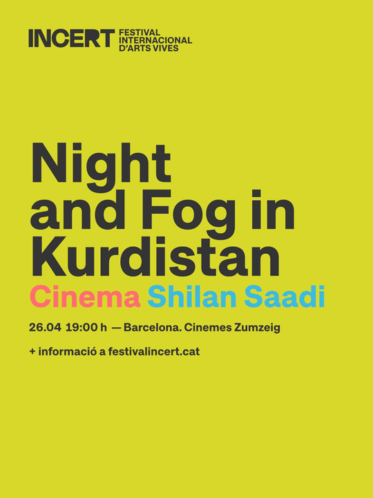 Cinema Night and Fog in Kurdistan