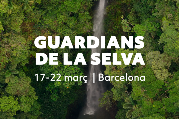 Guardians de la selva